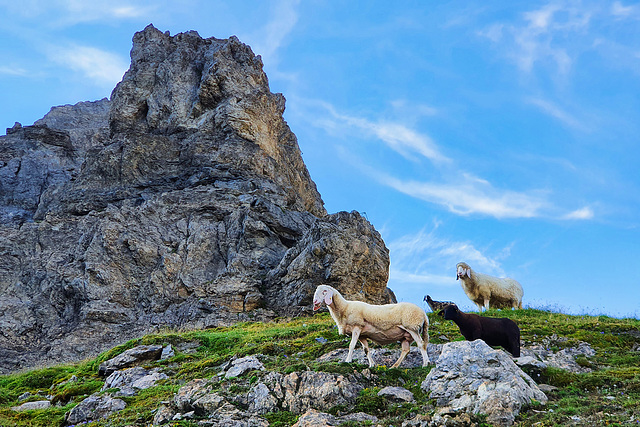 Ilmspitze (6 of 39)