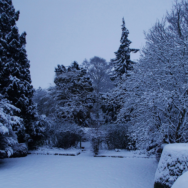 Fulbourn garden 2013-01-21