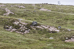 Gneiss erratic field on Stoer Group at Druim na Claise