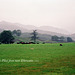 Langdale Pikes From near Elterwater (Scan from 1993)