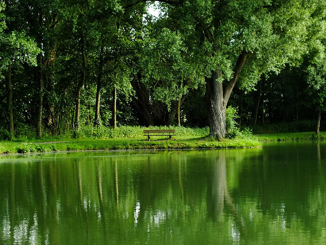 Stille Stunde am Teich