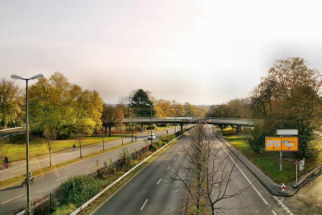 Ardeystraße (Dortmund-Innenstadt-West) / 8.11.2020