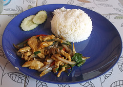 Poulet et riz 40 baht ($1.75 CAN)