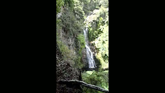 paranui falls