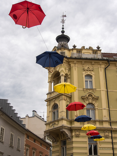 "Schirm-Herrschaft"