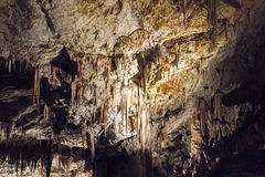 Postojna - Slovenija