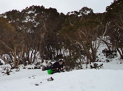 Mt Baw Baw day trip