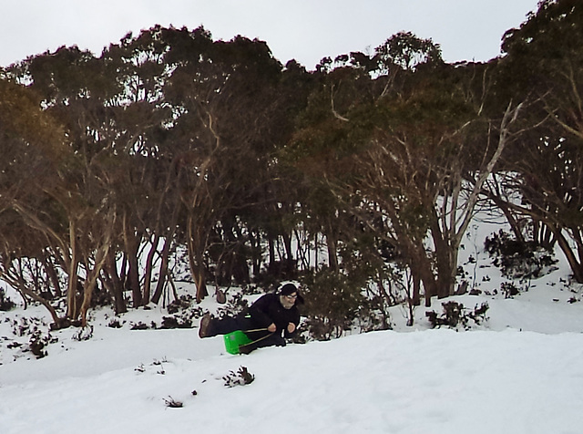 Mt Baw Baw day trip