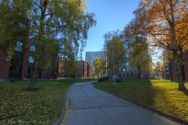 Moholt studentvilage, Trondheim.