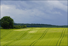 Feldwege
