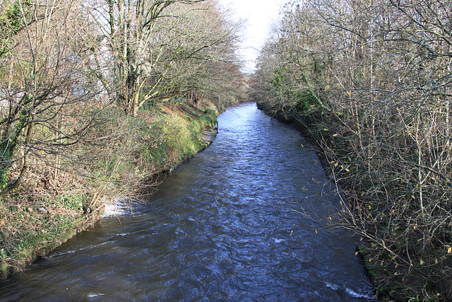 River Ely