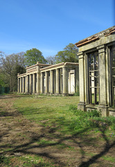 c19 orangery ruin, panshanger park, herts   (27)