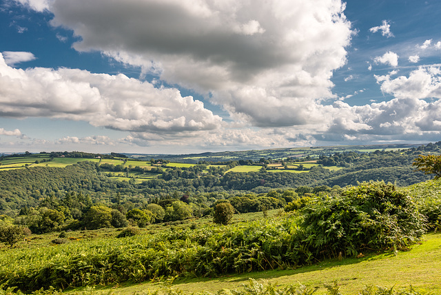 Dartmoor - 20150831