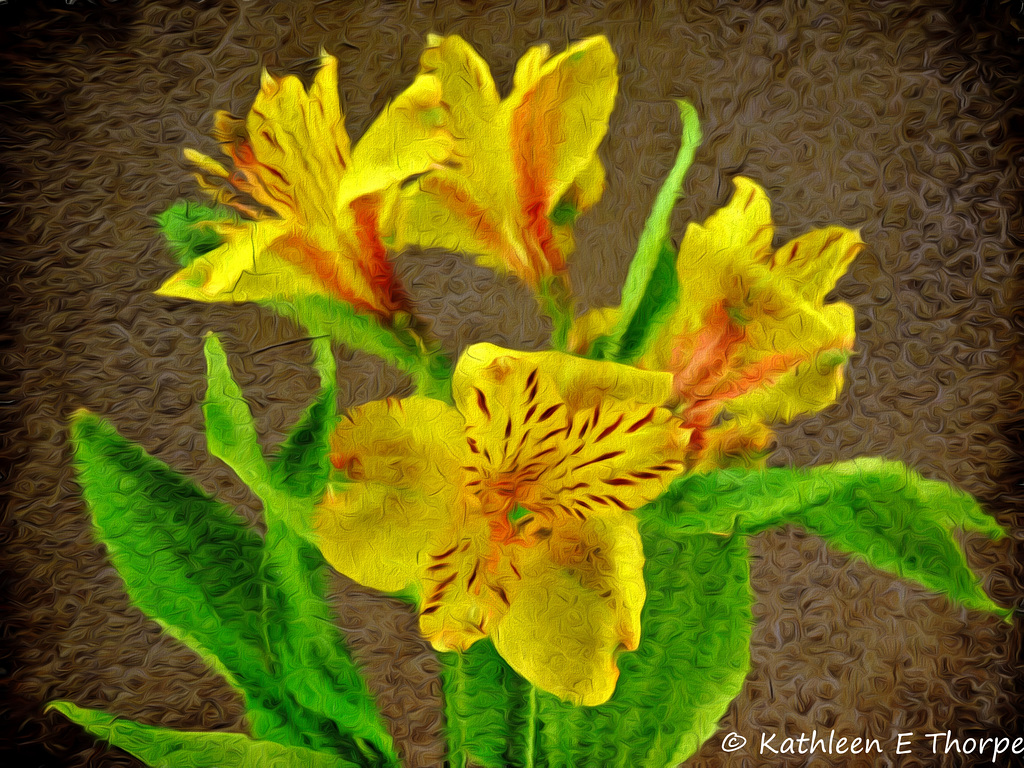 Yellow Tiger Lily - French Kiss Texture - Topaz Impressionistic Swirly Strokes III