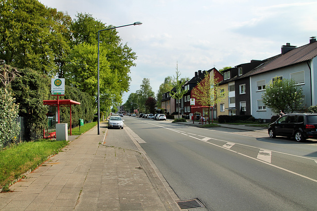 Feldstraße (Herten-Langenbochum) / 22.04.2018