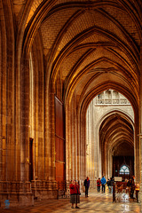 Cathédrale Sainte-Croix d'Orléans