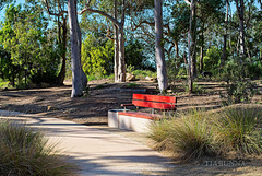 Sunny bench Sunny bench