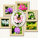 SH-Wadfriedhof- 10.05.2026 SH-Wadfriedhof- 10.05.2026