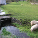 St Fagans Village