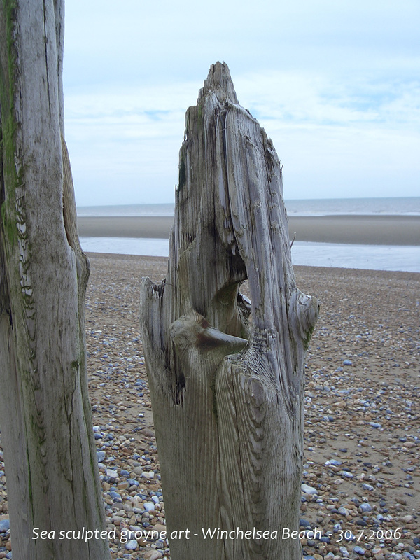 Groyne art 1 Winchelsea beach 30 7 2006