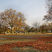 Parkplatz Westfalenhallen (Dortmund-Innenstadt-West) / 8.11.2020