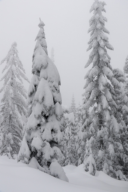 Mount Spokane Winter