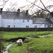 St Fagans Village