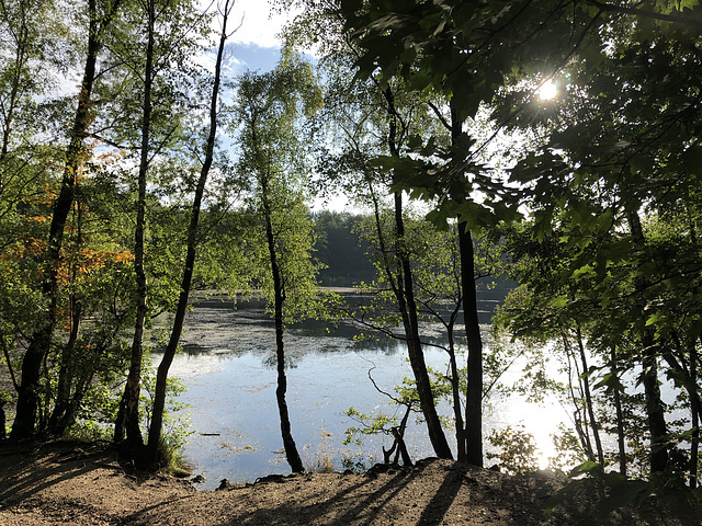 DE - Brühl - Heider Bergsee