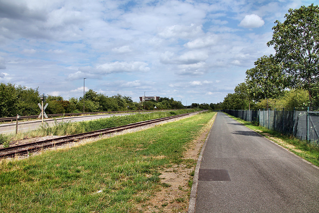 Pontwert, Weg neben der Hafenbahn (Duisburg-Ruhrort) / 22.07.2023