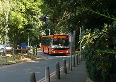 HFF: Mulleys Motorways AP12 BUS at West Suffolk Hospital, Bury St. Edmunds - 12 Aug 2024 (P1190213)