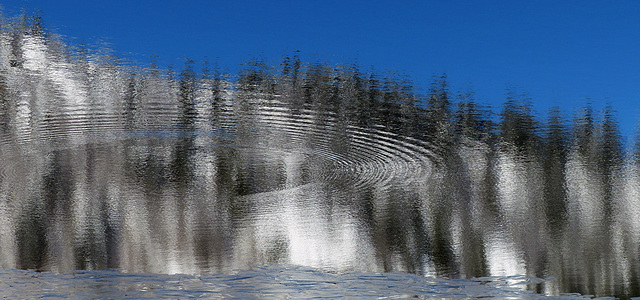 de neige : le lac blanc