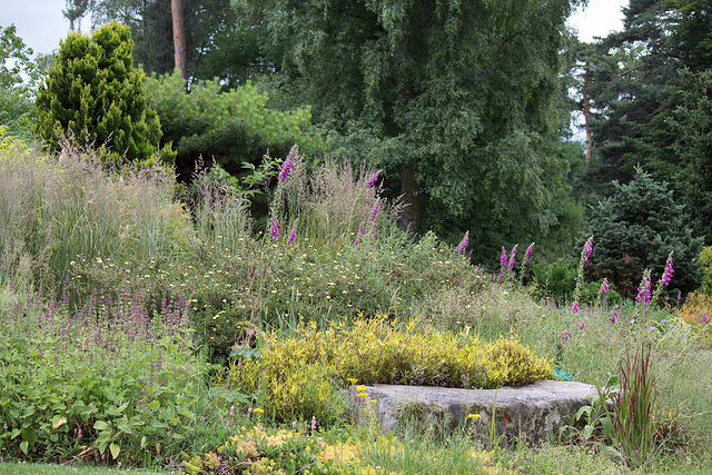 Jardin des Callunes