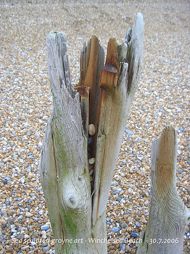 Groyne art 3 Winchelsea beach 30 7 2006