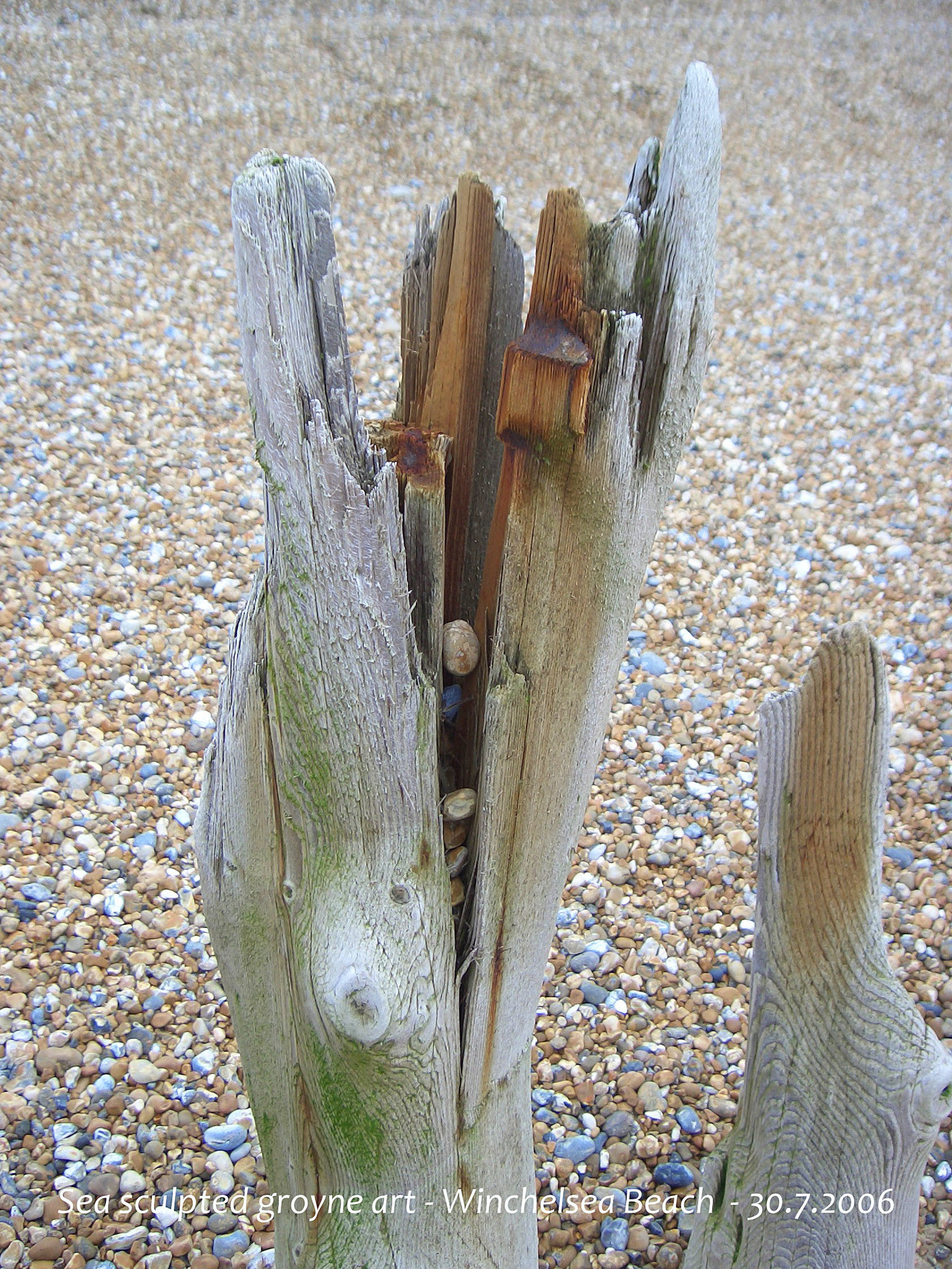 Groyne art 3 Winchelsea beach 30 7 2006