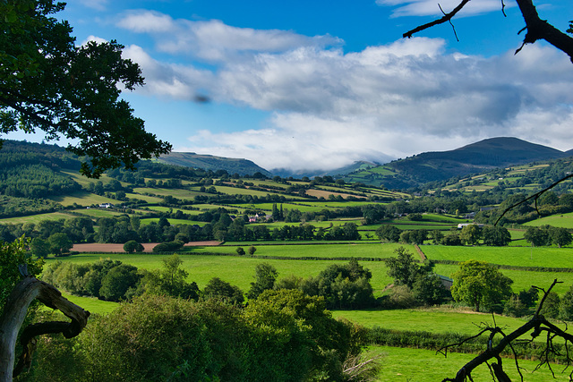 A Welsh vista