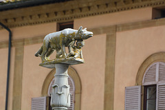 Italy, Siena, The Roman Wolf on Piazza del Duomo