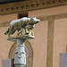 Italy, Siena, The Roman Wolf on Piazza del Duomo