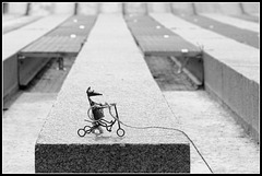 Souricette à Paris (1)