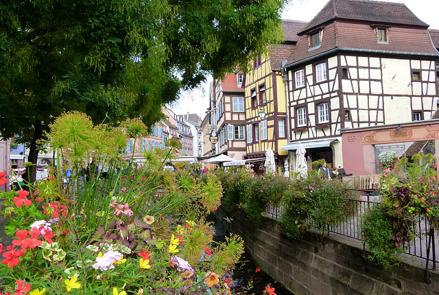 Colmar - Stadt der Blumenkästen