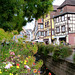 Colmar - Stadt der Blumenkästen