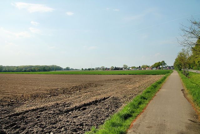 Landschaft nördlich von Langenbochum (Herten) / 22.04.2018