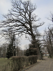 Teublitzer Stadtpark