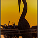 Storch mit kurze Beene