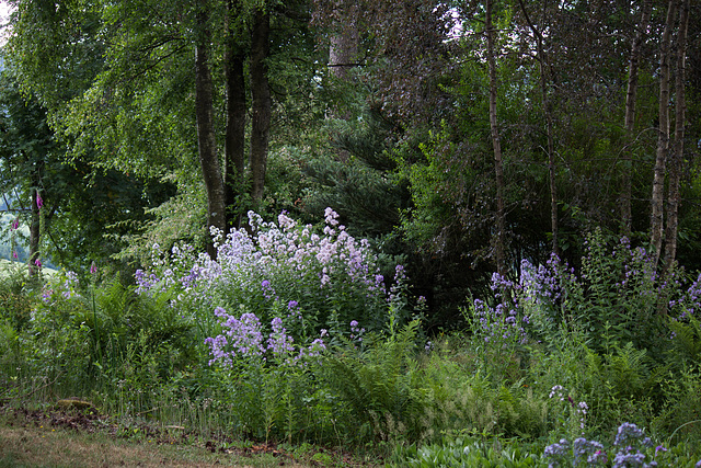 Jardin des Callunes