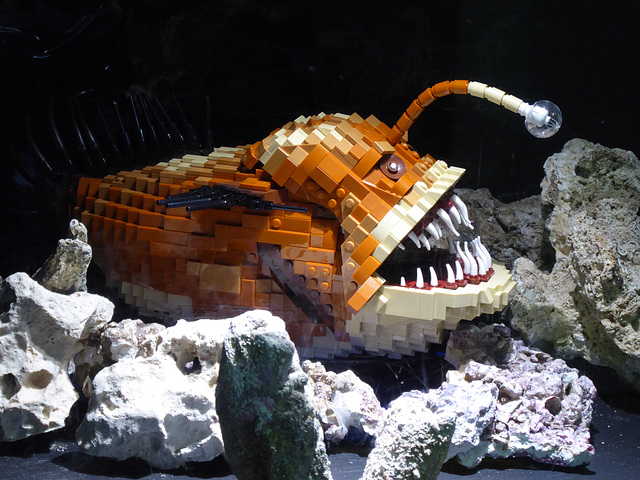 BRICKLIVE Ocean (21) - 2 August 2019