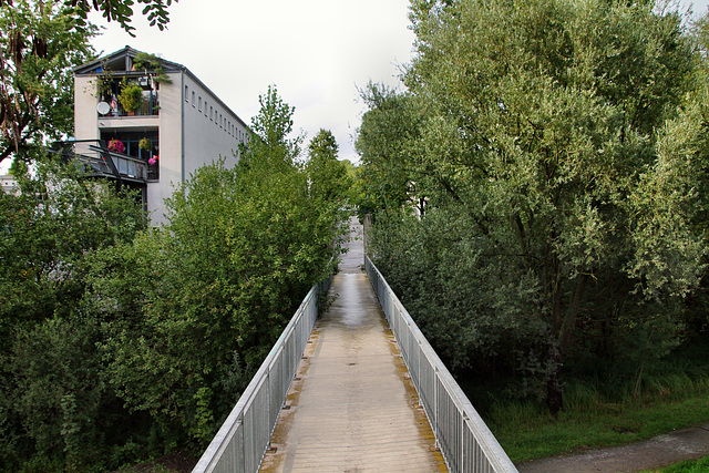 Brücke zwischen Siedlung und Halde (Gelsenkirchen-Buer) / 18.08.2019