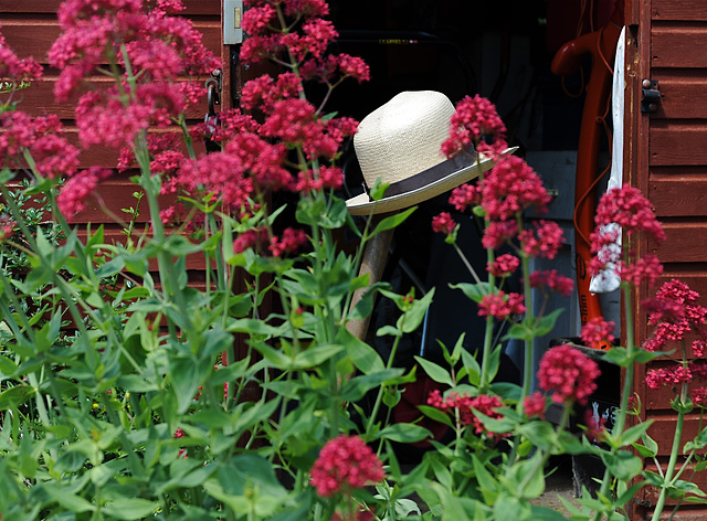 Panama Hat