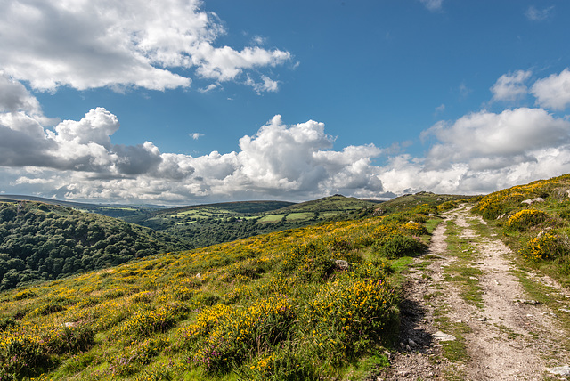 Dartmoor - 20150831