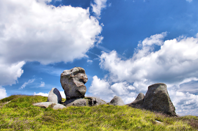 Kinder Scout   /   July 2014