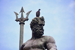 Bologna 2021 – Neptune and pigeon